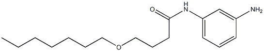N-(3-aminophenyl)-4-(heptyloxy)butanamide 化学構造式