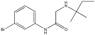 N-(3-bromophenyl)-2-[(2-methylbutan-2-yl)amino]acetamide Struktur