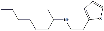 octan-2-yl[2-(thiophen-2-yl)ethyl]amine
