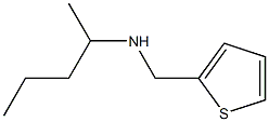 pentan-2-yl(thiophen-2-ylmethyl)amine