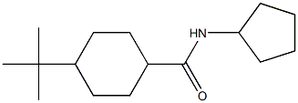 4-tert-butyl-N-cyclopentylcyclohexanecarboxamide