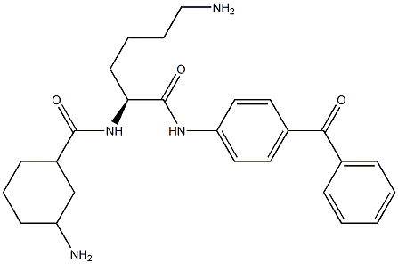 4-(N2-[(3-Aminocyclohexyl)carbonyl]-L-lysylamino)benzophenone
