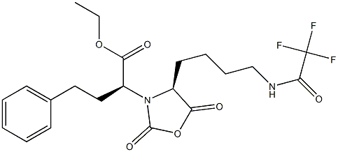 (4S)-3-[(S)-1-(Ethoxycarbonyl)-3-phenylpropyl]-4-[4-[(trifluoroacetyl)amino]butyl]-2,5-dioxooxazolidine Struktur