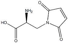 (2S)-2-Amino-3-(2,5-dioxo-3-pyrrolin-1-yl)propanoic acid Struktur