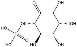  L-Glucose phosphate