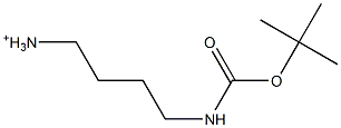 4-(tert-Butoxycarbonylamino)-1-butanaminium Structure
