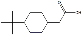 (4-tert-ブチルシクロヘキサン-1-イリデン)酢酸 化学構造式