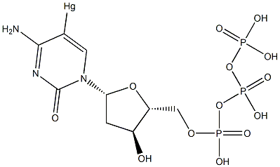 5-mercurideoxycytidine triphosphate Struktur