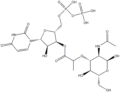 UDP-N-アセチルムラミン酸 化学構造式