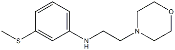 3-(methylsulfanyl)-N-[2-(morpholin-4-yl)ethyl]aniline Struktur