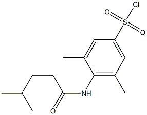3,5-dimethyl-4-(4-methylpentanamido)benzene-1-sulfonyl chloride,,结构式