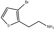2-(3-bromothiophen-2-yl)ethan-1-amine,1000532-83-1,结构式