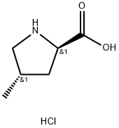 (2R,4S)-4-methylpyrrolidine-2-carboxylic acid hydrochloride|1027101-95-6