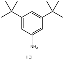 3,5-DI-TERT-BUTYLANILINE HYDROCHLORIDE,110014-59-0,结构式