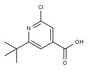 2-叔-丁基-6-氯吡啶-4-羧酸, 1170999-92-4, 结构式