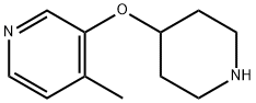 1188439-67-9 4-methyl-3-(piperidin-4-yloxy)pyridine