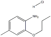 1216862-67-7 4-METHYL-2-PROPOXYANILINE HYDROCHLORIDE