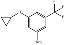 3-环丙氧基-5-三氟甲基苯胺, 1243471-01-3, 结构式