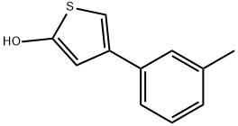 1243839-13-5 2-Hydroxy-4-(3-tolyl)thiophene