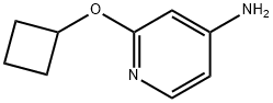 4-AMINO-2-(CYCLOBUTOXY)PYRIDINE|2-环丁氧基吡啶-4-胺