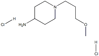 4-AMINO-1-(3-METHOXYPROPYL)PIPERIDINE 2HCL Structure