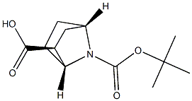 (1R,2S,4S)-7-(tert-Butoxycarbonyl)-7-azabicyclo[2.2.1]heptane-2-carboxylic acid Structure