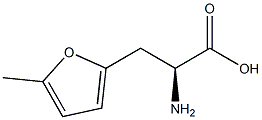 (2S)-2-AMINO-3-(5-METHYLFURAN-2-YL)PROPANOIC ACID, 1269979-34-1, 结构式