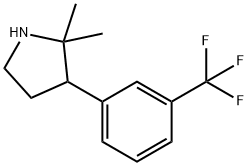 2,2-二甲基-3-(3-(三氟甲基)苯基)吡咯烷,1270801-02-9,结构式