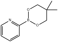 Pyridine-2-boronic acid neopentylglycol ester Structure