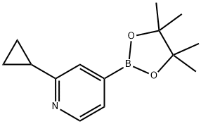 2-CYCLOPROPYL-4-(4,4,5,5-TETRAMETHYL-1,3,2-DIOXABOROLAN-2-YL)PYRIDINE, 1321518-37-9, 结构式