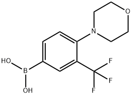 (4-morpholino-3-(trifluoromethyl)phenyl)boronic acid|(4-吗啉代-3-(三氟甲基)苯基)硼酸