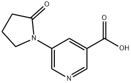 5-(2-氧代吡咯烷-1-基)吡啶-3-羧酸,1343197-66-9,结构式