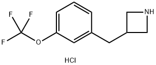 1354963-49-7 3-(3-(三氟甲氧基)苄基)氮杂环丁烷盐酸盐