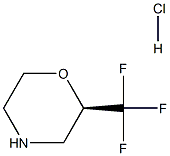 (2R)-2-(trifluoromethyl)morpholine hydrochloride,1394909-70-6,结构式