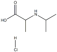 2-[(丙-2-基)氨基]丙酸盐酸盐 结构式