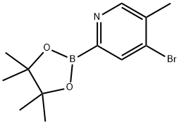4-Bromo-5-methylpyridine-2-boronic acid pinacol ester Struktur