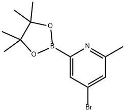 4-Bromo-6-methylpyridine-2-boronic acid pinacol ester Struktur