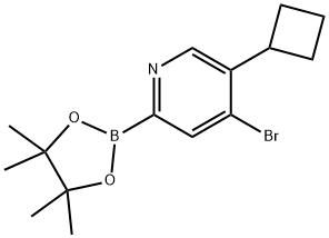 4-Bromo-5-(cyclobutyl)pyridine-2-boronic acid pinacol ester,1402233-40-2,结构式