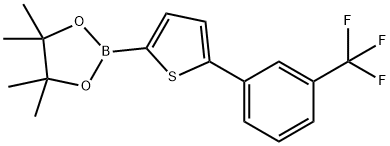 5-(3-Trifluoromethylphenyl)thiophene-2-boronic acid pinacol ester|3-羟基-2,3-二甲基丁烷-2-基氢(5-(3-(三氟甲基)苯基)噻吩-2-基)硼酸酯