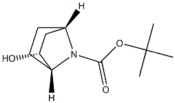(1R,2R,4S)-2-羟基-7-氮杂双环[2.2.1]庚烷-7-羧酸叔丁酯 结构式