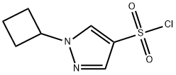 1-cyclobutyl-1H-pyrazole-4-sulfonyl chloride Structure
