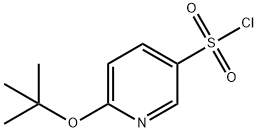 1566806-96-9 6-(tert-butoxy)pyridine-3-sulfonyl chloride