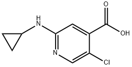 5-chloro-2-(cyclopropylamino)pyridine-4-carboxylic acid Structure