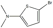 2-Bromo-5-(dimethylamino)thiophene 结构式