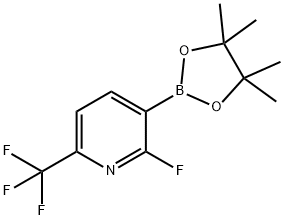 2-Fluoro-6-trifluoromethylpyridine-3-boronic acid pinacol ester Struktur