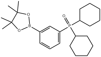 1802340-16-4 二环己基(3-(4,4,5,5-四甲基-1,3,2-二氧杂硼杂环戊烷-2-基)苯基)氧化膦