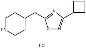4-[(3-cyclobutyl-1,2,4-oxadiazol-5-yl)methyl]piperidine hydrochloride Structure