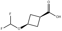 cis-3-(Difluoromethoxy)cyclobutanecarboxylic acid Structure