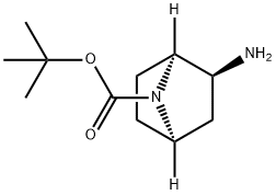 (1S,2S,4R)-2-氨基-7-氮杂双环[2.2.1]庚烷-7-羧酸叔丁酯 结构式
