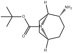 tert-butyl (1S,2R,5S)-2-amino-8-azabicyclo[3.2.1]octane-8-carboxylate,1932528-07-8,结构式